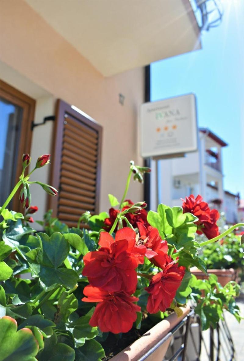 Apartments & Rooms Ivana Ровінь Номер фото